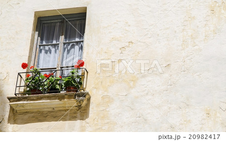 window  with Rose flower in Granada,Spain 20982417