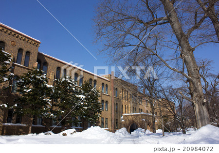 北海道大学、北大、北海道大学総合博物館、冬 20984072