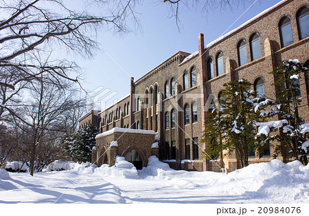 北海道大学、北大、北海道大学総合博物館、冬 北海道大学、北大、北海道大学総合博物館、冬 20984076