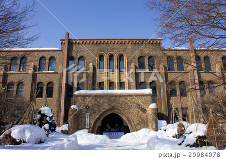 北海道大学、北大、北海道大学総合博物館、冬 北海道大学、北大、北海道大学総合博物館、冬 20984078