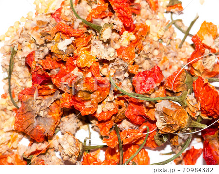The vegetable Pepper. 20984382