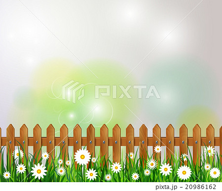 Green grass spring background 20986162
