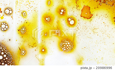 Curlicue of Paints Curlicue of Paints 20986996