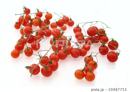 マイクロトマト マイクロトマト 20987753