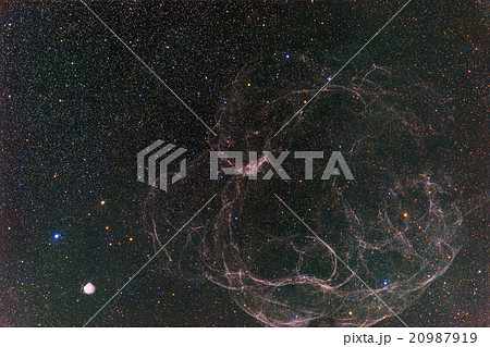 超新星爆発残骸Sh2-240 超新星爆発残骸Sh2-240 20987919