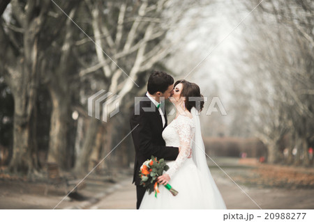 Stylish couple of happy stylish newlyweds walking Stylish couple of happy stylish newlyweds walking 20988277