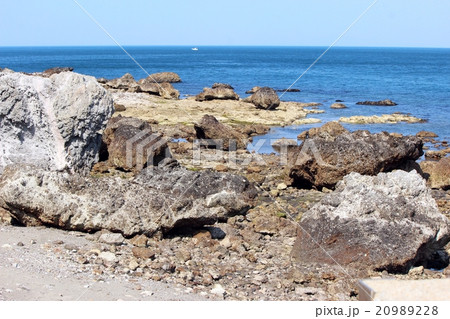 白涛海岸 白涛海岸 20989228