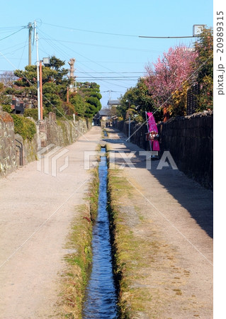 島原　武家屋敷街水路の風景 20989315
