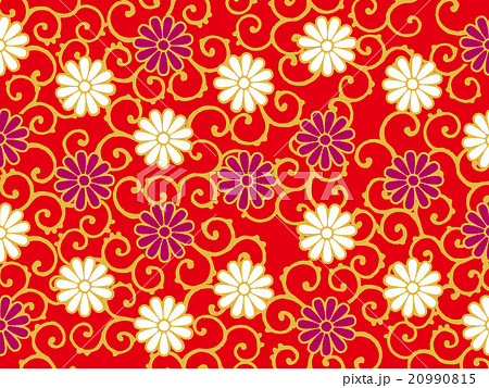 菊唐草のイラスト素材 [20990815] - PIXTA