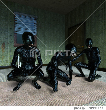 モンスター 20991144