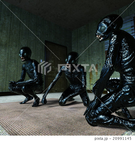 モンスター 20991145