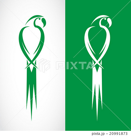 Vector image of an parrot design Vector image of an parrot design 20991873