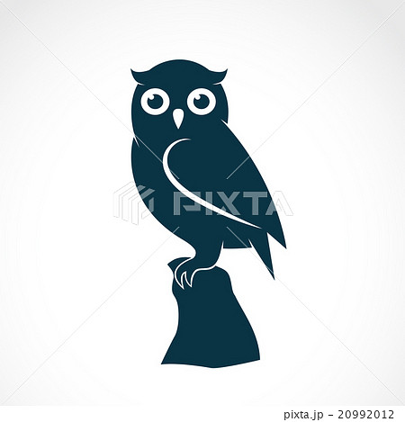 Vector image of an owl on white background Vector image of an owl on white background 20992012