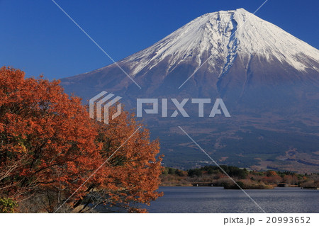 晩秋の田貫湖からの富士山の写真素材 [20993652] - PIXTA