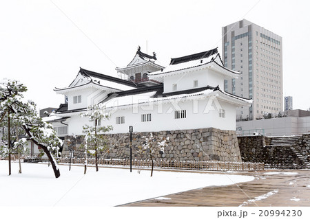 雪の富山城 20994230