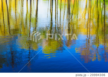 Reflection of Trees woods in river Water During A Reflection of Trees woods in river Water During A 20994306