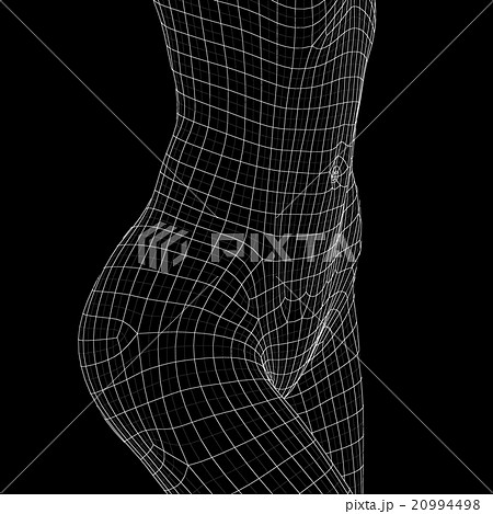 女性の体　ワイヤーフレーム　perming3DCG　イラスト素材　素材 20994498