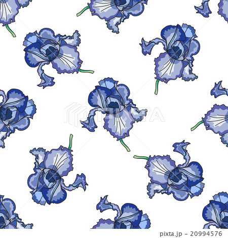 Floral iris pattern 20994576