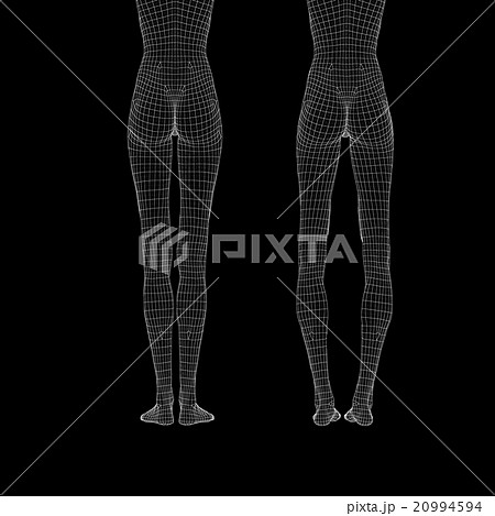 女性の体　O脚と美脚　ワイヤーフレーム　perming3DCG　イラスト素材　素材 20994594