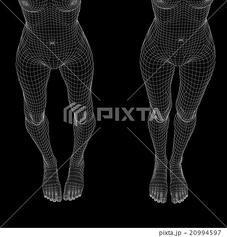女性の体　O脚と美脚　ワイヤーフレーム　perming3DCG　イラスト素材　素材 20994597