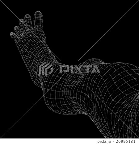 女性の体　足の甲 ワイヤーフレーム　perming3DCG　イラスト素材　素材 20995131