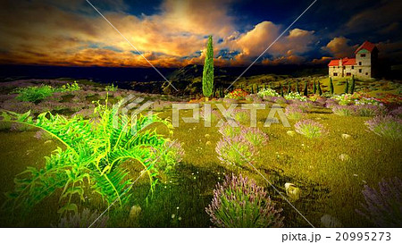 Castle towering 9ver lavender fields Castle towering 9ver lavender fields 20995273