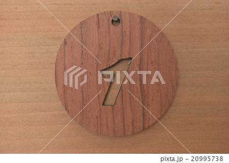 数字 20995738