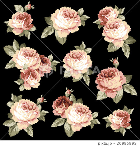 ロココ調の薔薇のイラスト素材 [20995995] - PIXTA