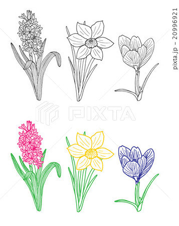 Hand drawn spring flowers 20996921