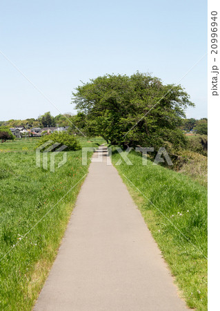 川沿いの一本道 20996940