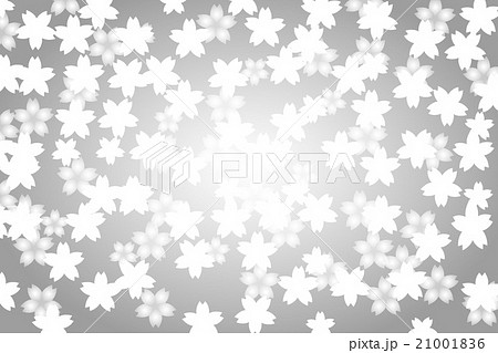 背景素材壁紙 フラワー 桜の花 サクラ さくら 東洋 日本 入学式 卒業式 淡い ぼかし 光 装飾のイラスト素材