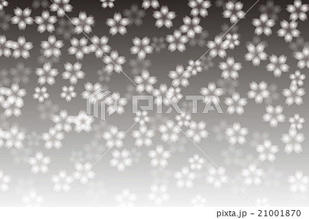 背景素材壁紙 フラワー 桜の花 サクラ さくら 東洋 日本 入学式 卒業式 淡い ぼかし 光 装飾のイラスト素材