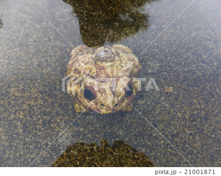 水中のカエルの置物 21001871
