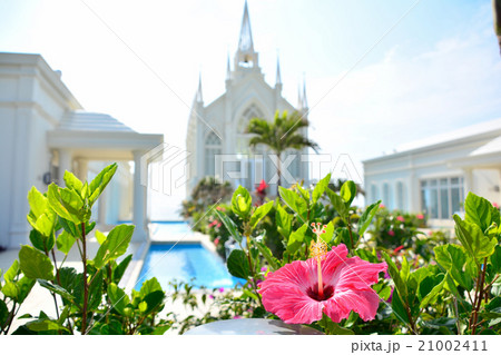 花と教会 21002411
