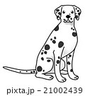 犬　ダルメシアン　イラスト 21002439