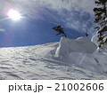 新潟の冬山 21002606