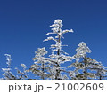 霧氷 21002609