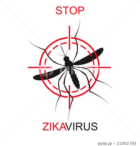 Zika mosquito vector. Virus alert. Aedes Aegypti Zika mosquito vector. Virus alert. Aedes Aegypti 21002783
