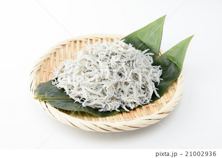 釜揚げしらす 釜揚げしらす 21002936
