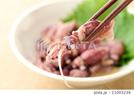 ホタルイカの酢味噌がけ ホタルイカの酢味噌がけ 21003238