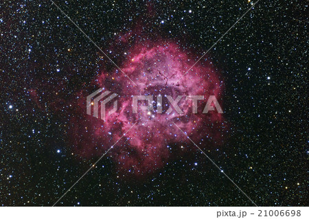 バラ星雲 21006698