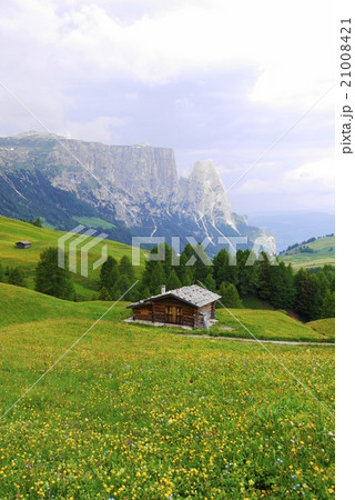 アルぺ・ディ・シウージ　alpe　di　siusi　　ザイザー・アルム　seiser　alm 21008421