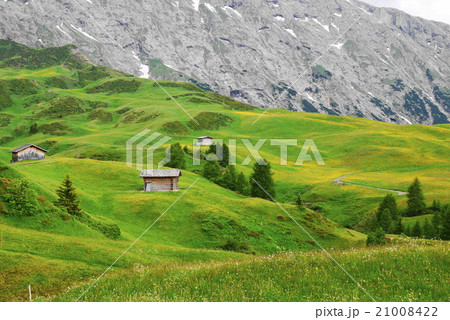 アルぺ・ディ・シウージ alpe di siusi  ザイザー・アルム seiser alm アルぺ・ディ・シウージ alpe di siusi  ザイザー・アルム seiser alm 21008422