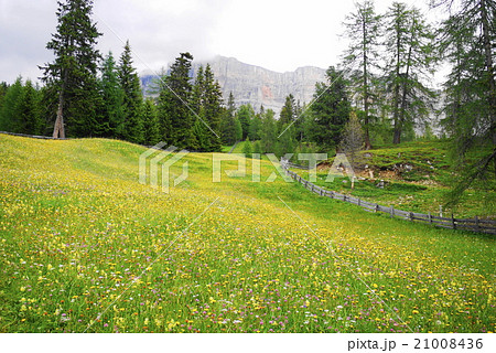 サンタクローチェ　santa　croce 21008436