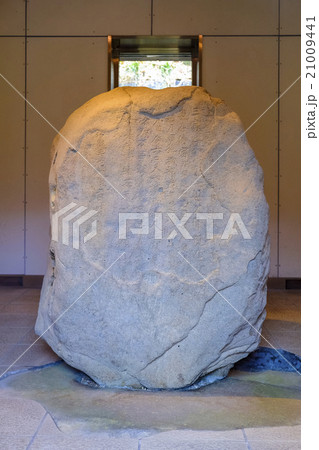 金井沢碑(縦) 金井沢碑(縦) 21009441