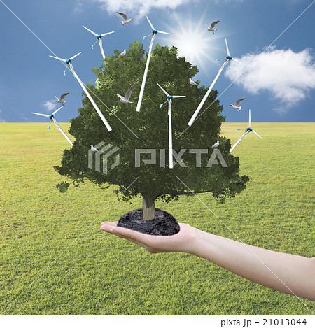 Big Tree grown in the hand and have wind turbine on fine weather Big Tree grown in the hand and have wind turbine on fine weather 21013044