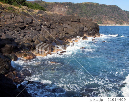 城ヶ崎海岸 城ヶ崎海岸 21014409