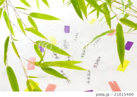 七夕の願い事 21015400