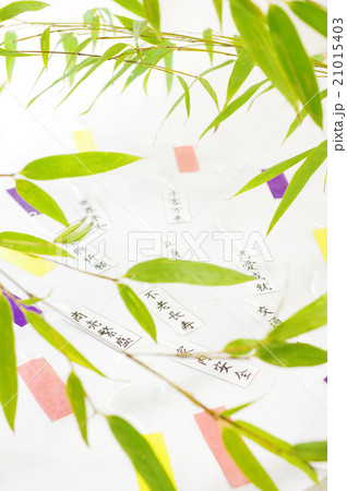 七夕の願い事 21015403