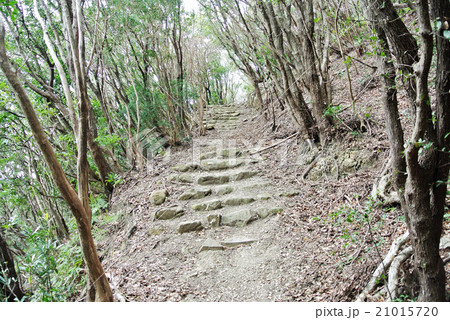 熊野古道　長井坂　 21015720